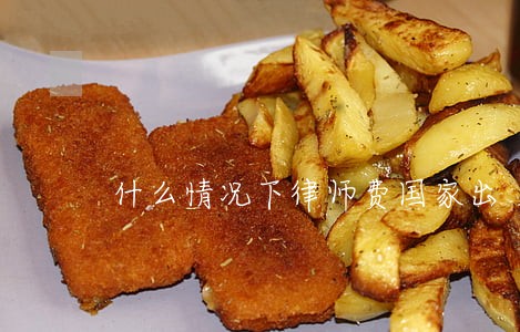什么情况下律师费国家出 什么情况下律师费国家出