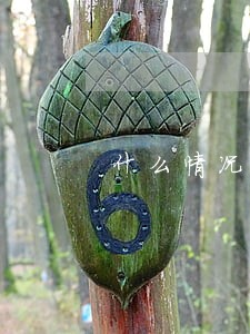 什么情况下房屋拍卖无效 什么情况下房屋拍卖无效