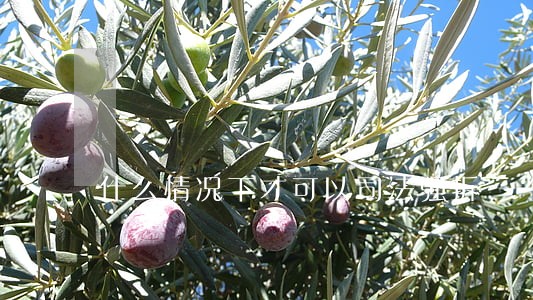 什么情况下才可以司法强拆