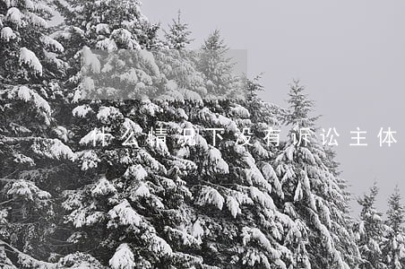 什么情况下没有诉讼主体资格 什么情况下没有诉讼主体资格