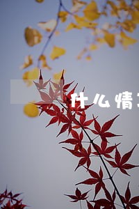 什么情况下法院不能查封房子 什么情况下法院不能查封房子