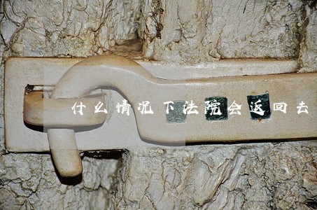 什么情况下法院会返回去重审