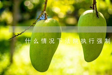 什么情况下法院执行强制执行 什么情况下法院执行强制执行