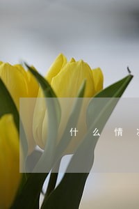 什么情况下算信用卡逾期