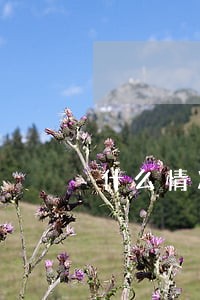 什么情况下银行消除逾期 什么情况下银行消除逾期