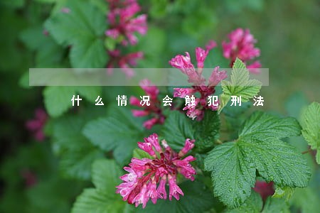 什么情况会触犯刑法 什么情况会触犯刑法