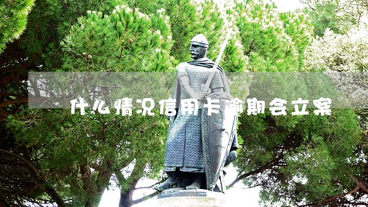 什么情况信用卡逾期会立案 什么情况信用卡逾期会立案