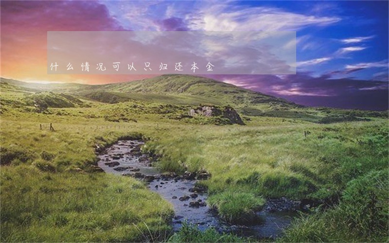 什么情况可以只归还本金 什么情况可以只归还本金
