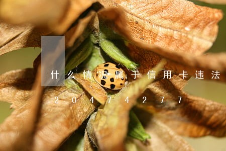 什么情况属于信用卡违法套现/2023020474277 什么情况属于信用卡违法套现/2023020474277