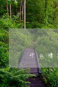 什么情况才可以办离婚证 什么情况才可以办离婚证