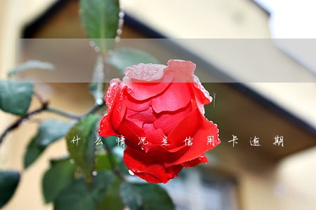 什么情况是信用卡逾期