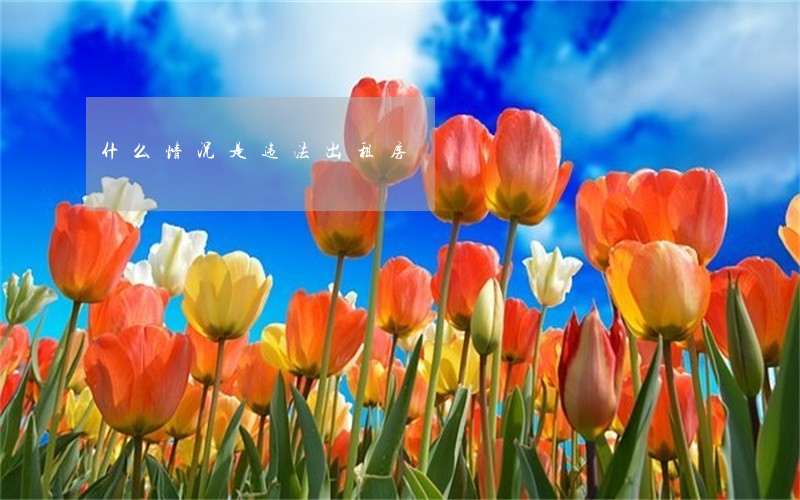 什么情况是违法出租房 什么情况是违法出租房