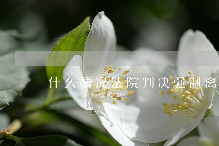 什么情况法院判决强制离婚 什么情况法院判决强制离婚