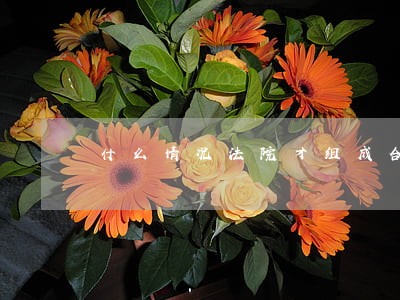 什么情况法院才组成合议庭 什么情况法院才组成合议庭