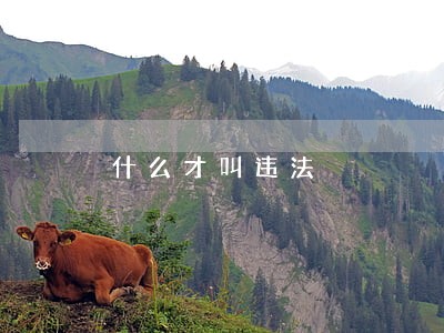 什么才叫违法 什么才叫违法