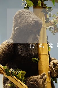 什么文献奠定了欧洲民法的基础 什么文献奠定了欧洲民法的基础
