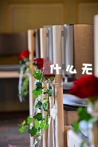 什么无权制定地方性法规 什么无权制定地方性法规