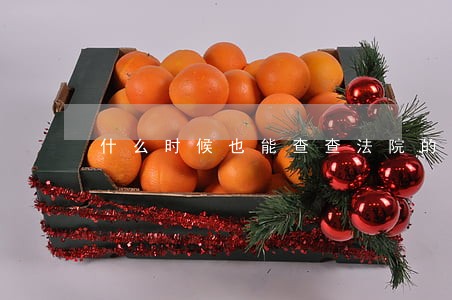 什么时候也能查查法院的人 什么时候也能查查法院的人