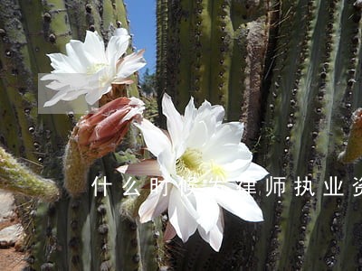 什么时候发律师执业资格证 什么时候发律师执业资格证