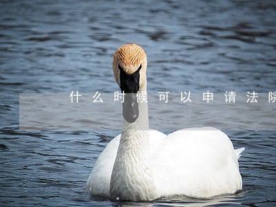 什么时候可以申请法院调取证据 什么时候可以申请法院调取证据