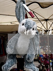 什么时候才可以诉讼 什么时候才可以诉讼