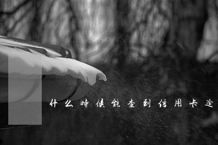 什么时候能查到信用卡逾期 什么时候能查到信用卡逾期