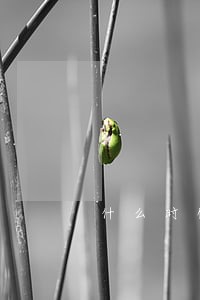 什么时候违法解除劳动合同 什么时候违法解除劳动合同