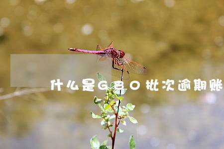 什么是G80批次逾期账户 什么是G80批次逾期账户