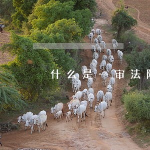 什么是一审法院的裁定 什么是一审法院的裁定