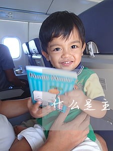 什么是主债权债务诉讼律师 什么是主债权债务诉讼律师