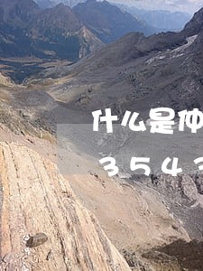 什么是仲裁程序违法/2023013123543 什么是仲裁程序违法/2023013123543