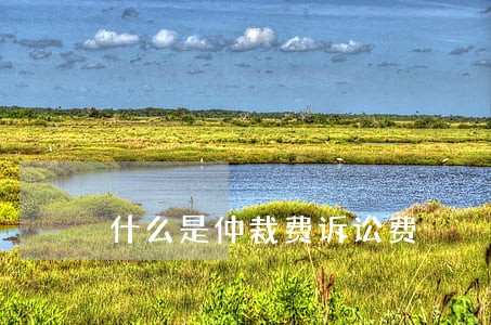 什么是仲裁费诉讼费 什么是仲裁费诉讼费