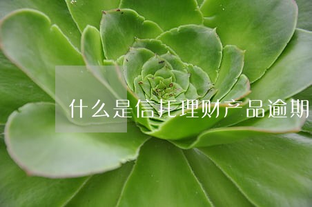 什么是信托理财产品逾期