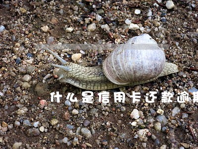 什么是信用卡还款逾期