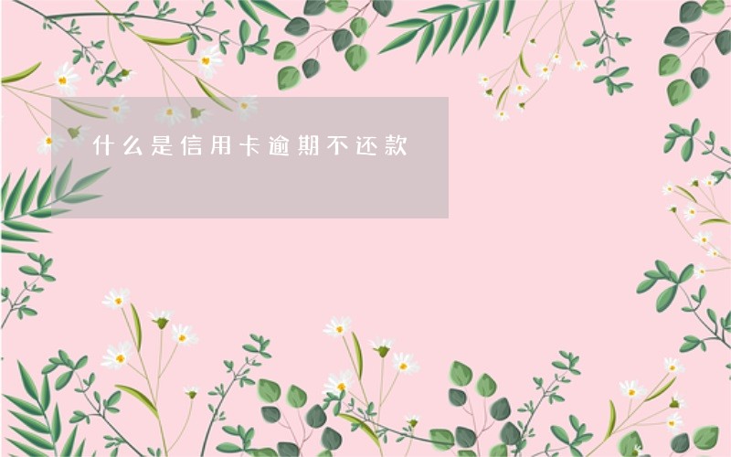 什么是信用卡逾期不还款 什么是信用卡逾期不还款