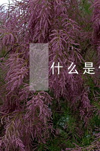 什么是信用卡逾期可以买房吗 什么是信用卡逾期可以买房吗