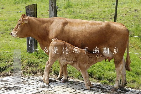 什么是信用卡逾期后 什么是信用卡逾期后