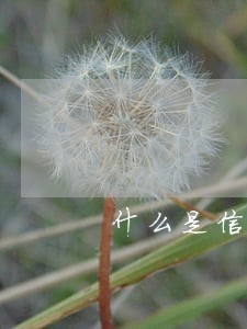 什么是信用卡逾期多久上征信