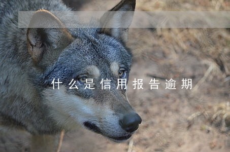 什么是信用报告逾期 什么是信用报告逾期