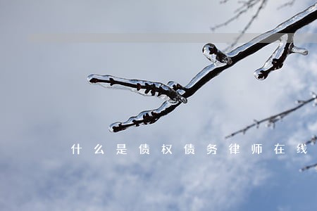 什么是债权债务律师在线咨询问题 什么是债权债务律师在线咨询问题