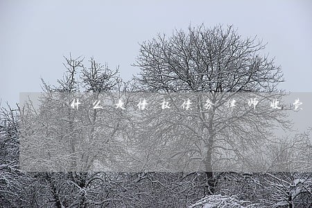 什么是债权债务律师收费标准