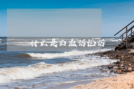 什么是公益诉讼诉