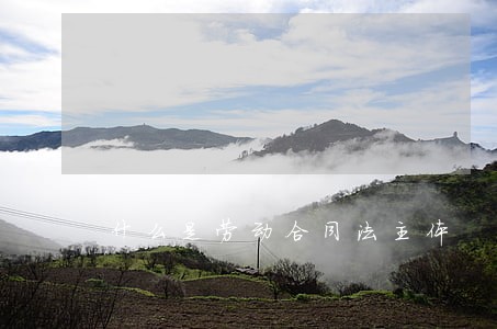 什么是劳动合同法主体 什么是劳动合同法主体