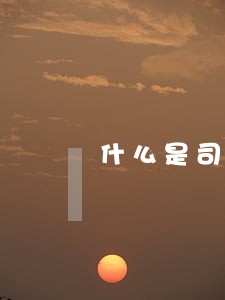 什么是司法担保人连带责任 什么是司法担保人连带责任