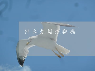 什么是司法数据 什么是司法数据