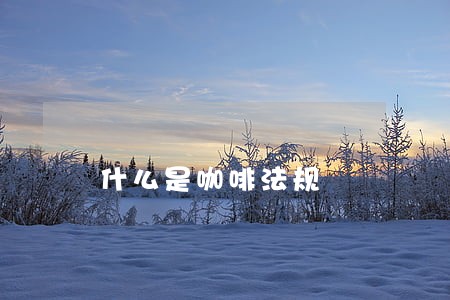 什么是咖啡法规 什么是咖啡法规