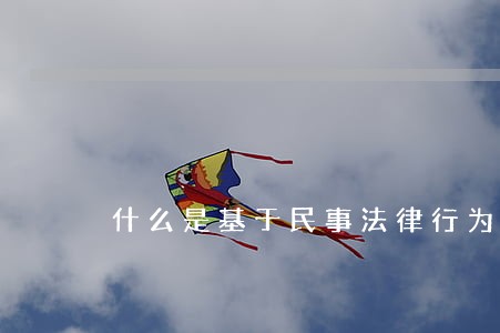 什么是基于民事法律行为 什么是基于民事法律行为