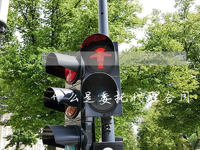 什么是委托代理合同 什么是委托代理合同