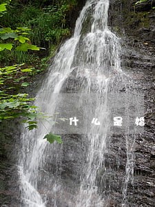 什么是婚姻家事团律师 什么是婚姻家事团律师