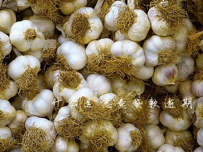 什么是恶意贷款逾期 什么是恶意贷款逾期